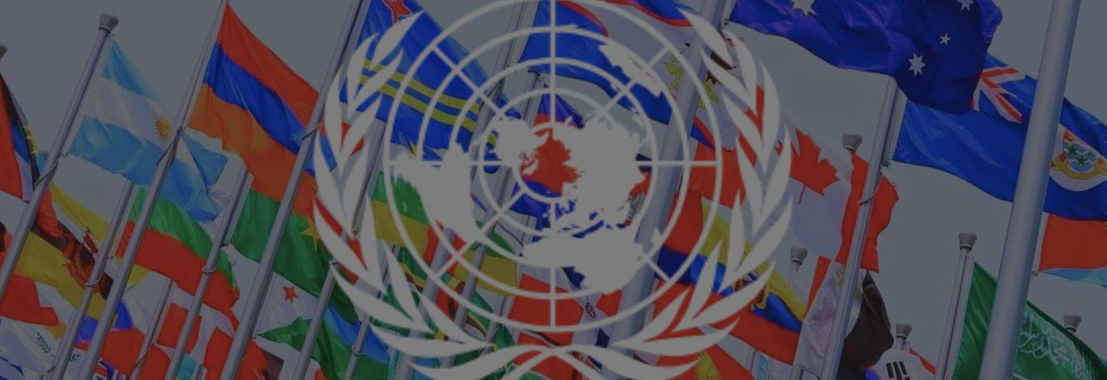 Stuart Howe Australia needs to leave the UN Parkes 2025